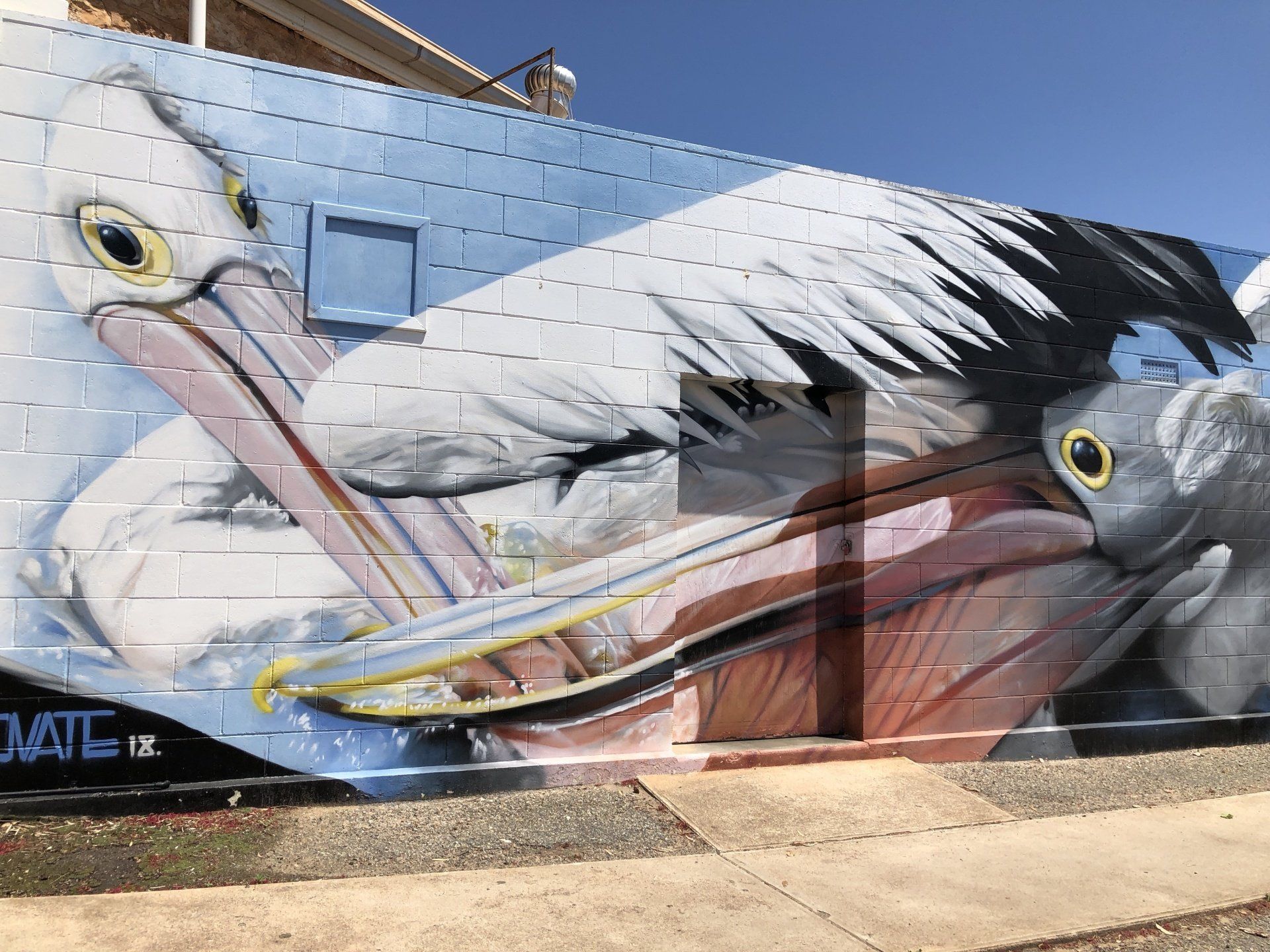 Colour Tumby Bay, Australian Silo Art Trail