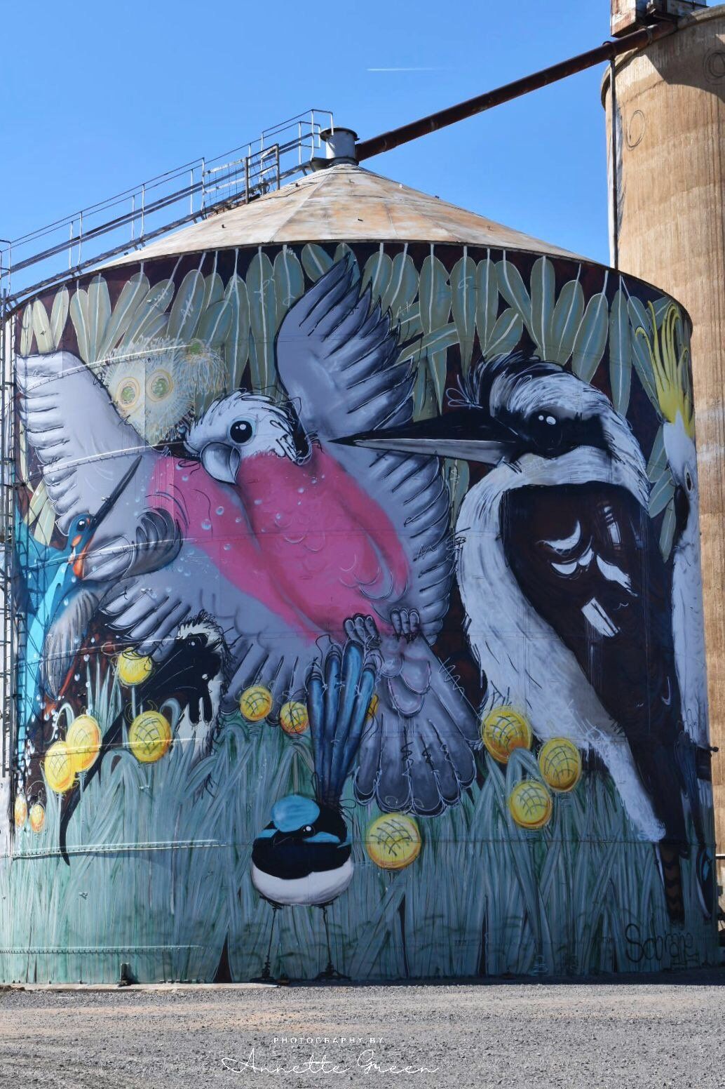 Tungamah Silo Art, Australian Silo Art Trail, Sobrane Simcock