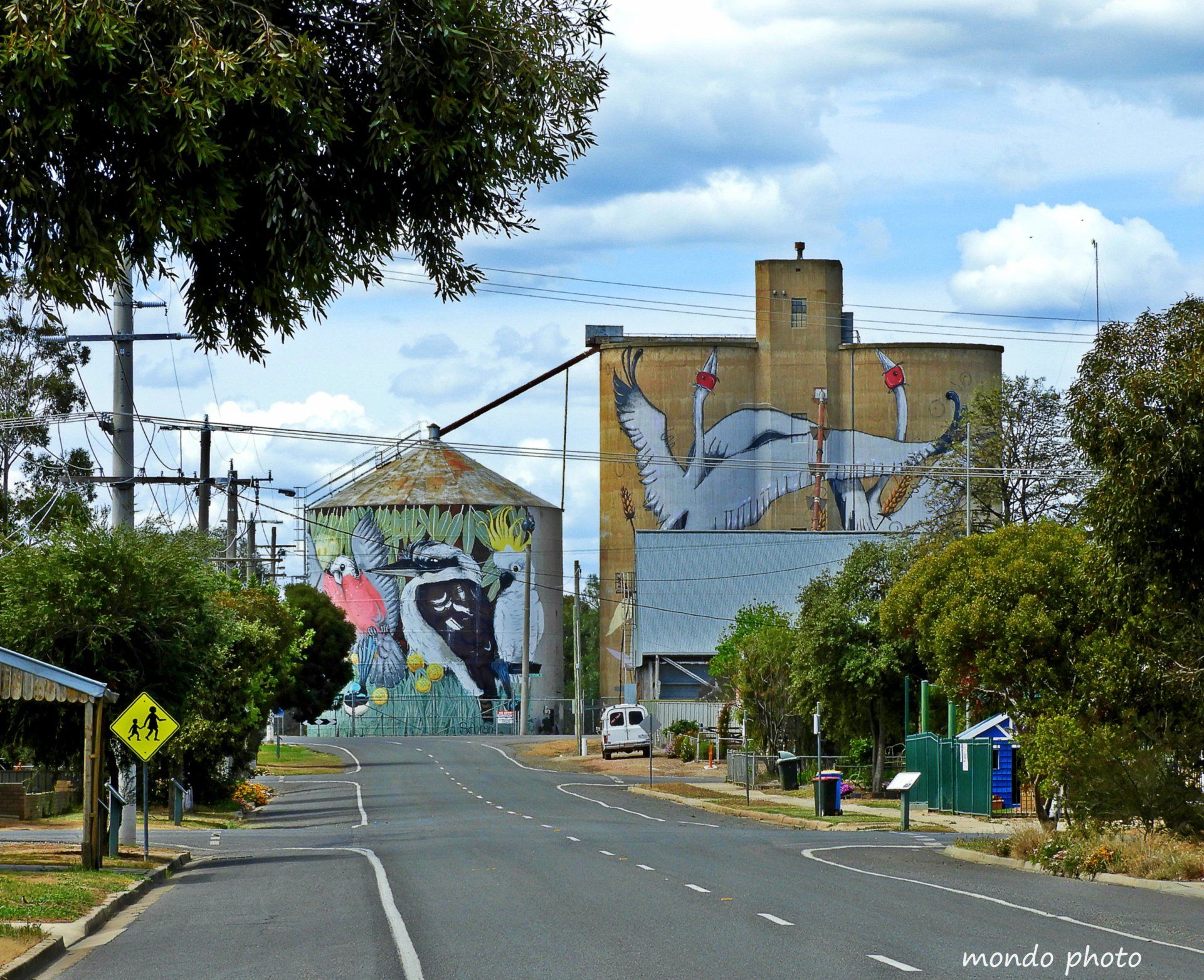 Australian Silo Art Trail, Silo Art, Water Tower Art, Sobrane Simcock, Tungamah