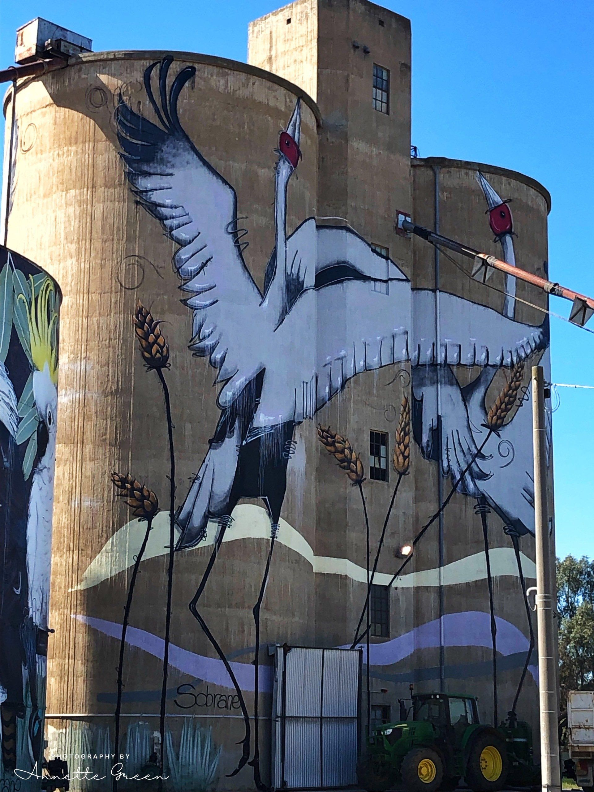 Tungamah Silo Art