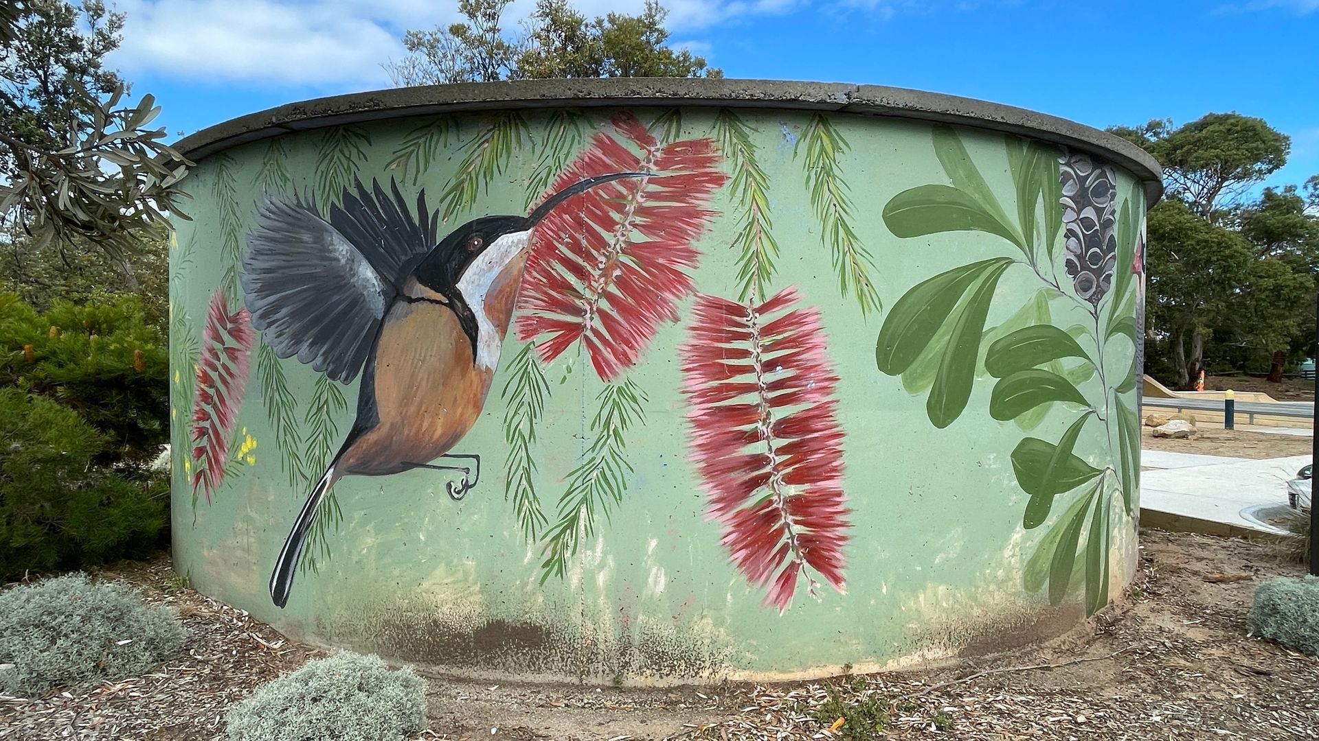 Venus Bay, Australian Silo Art Trail, Silo Art, Water Tower Art