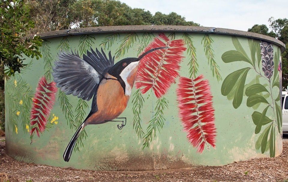 Venus Bay Water Tank Art, Australian Silo Art trail