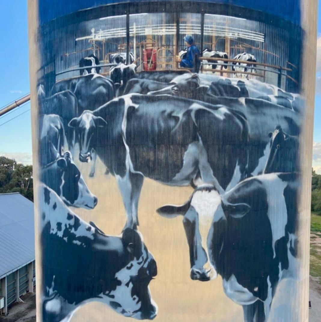Albacutya Silo Art, Australian Silo Art
