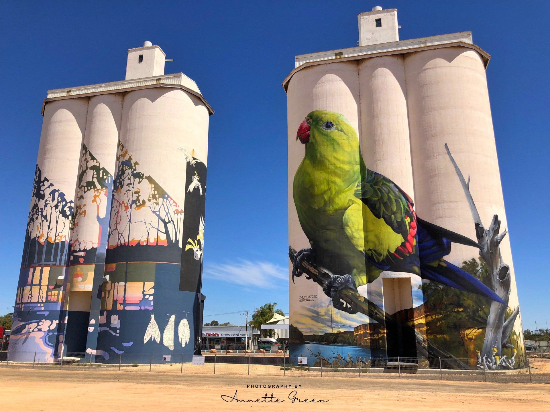 Australian Silo Art Trail, South Australian Silo Art Trail, Waikerie Silo Art, Jimmy Dvate