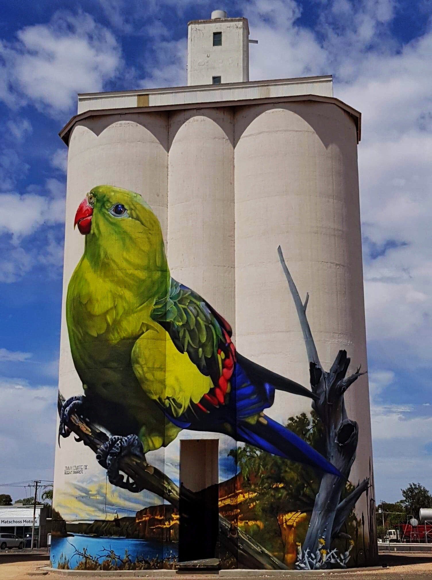 Waikerie Silo Art, Australian Silo Art Trail, Jimmy DVate , Garry Duncan