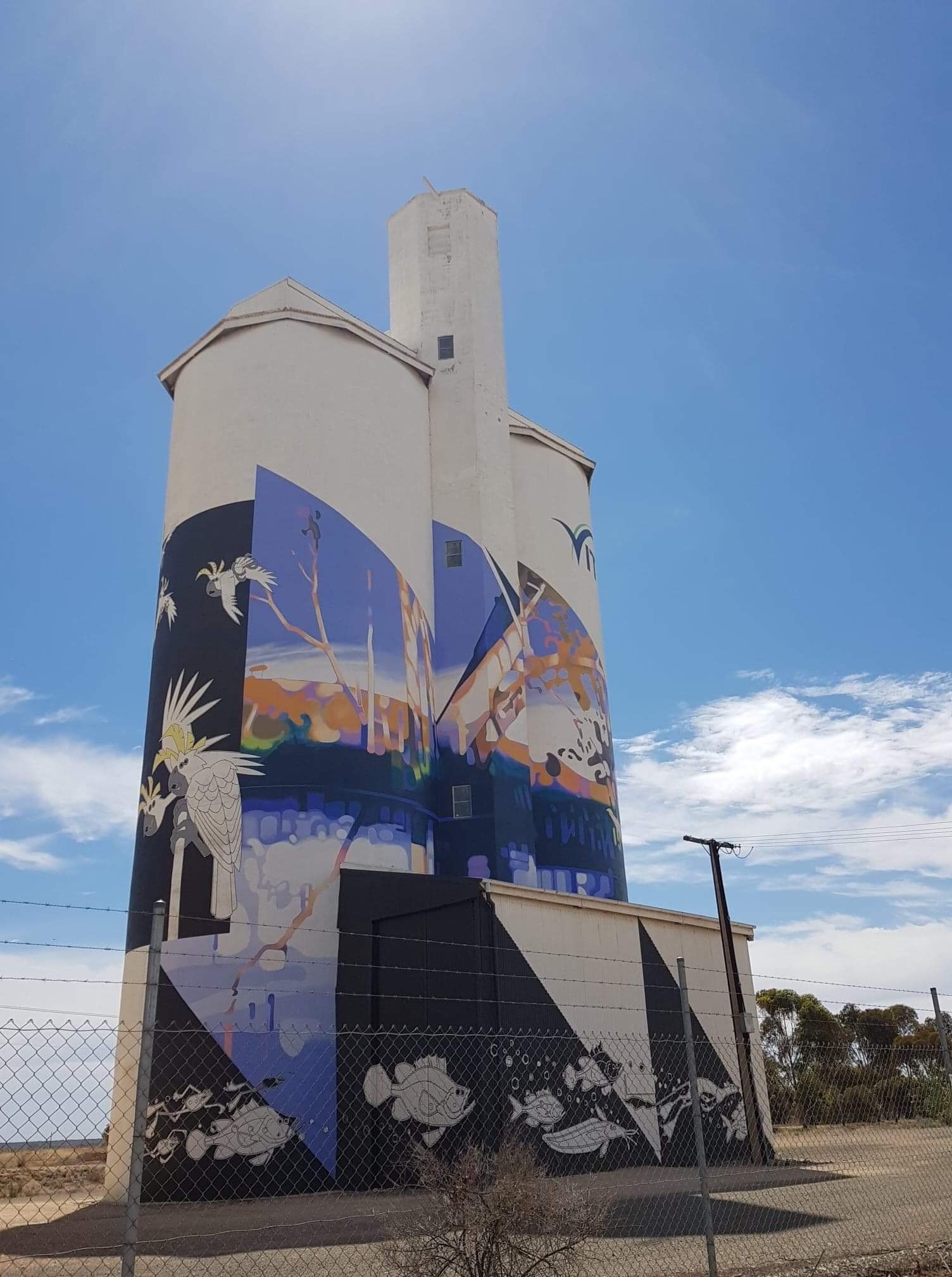 Waikerie Silo Art, Australian Silo Art Trail, Jimmy DVate