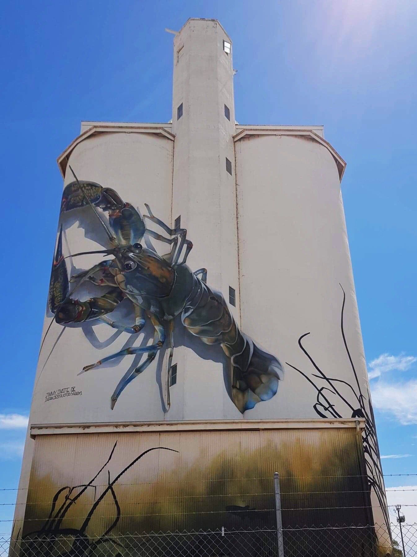 Waikerie Silo Art, Australian Silo Art Trail, Jimmy DVate