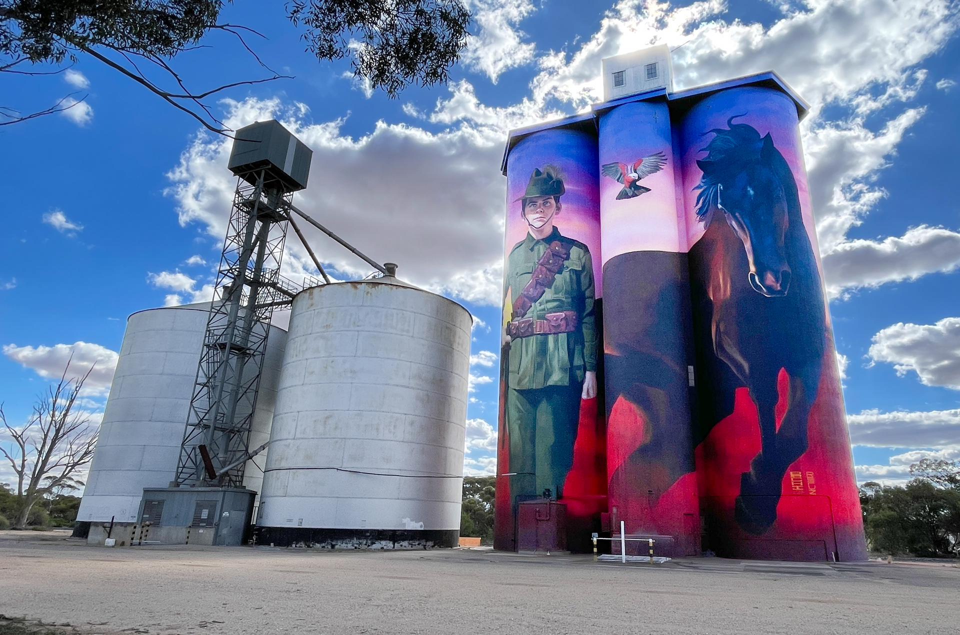 Patchewollock Silo Art, Australian Silo Art