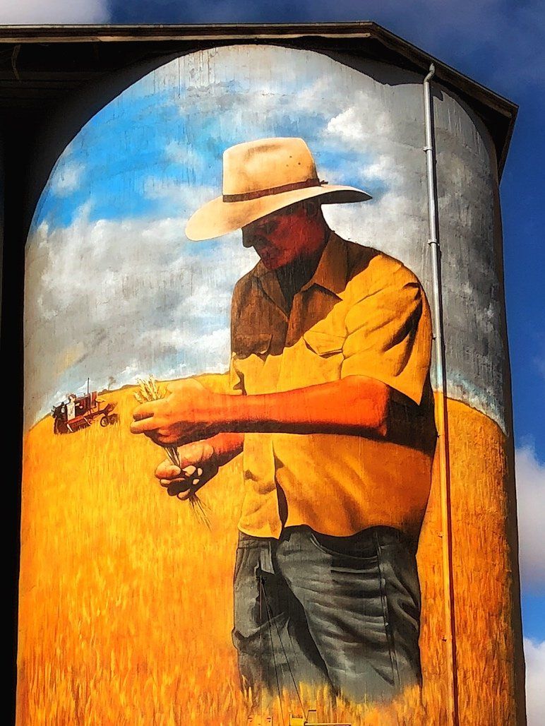Weethalle Silo Art, Australian Silo Art Trail, Heesco