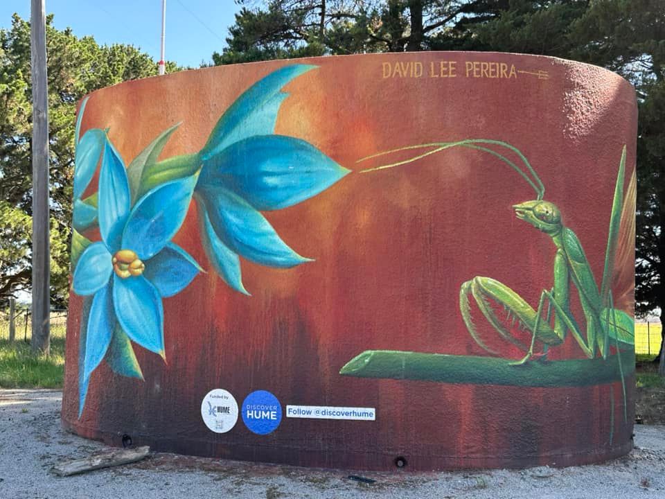 Australian Silo Water Tower Art, Australian Silo Art Trail, Bayles Water Tower Art