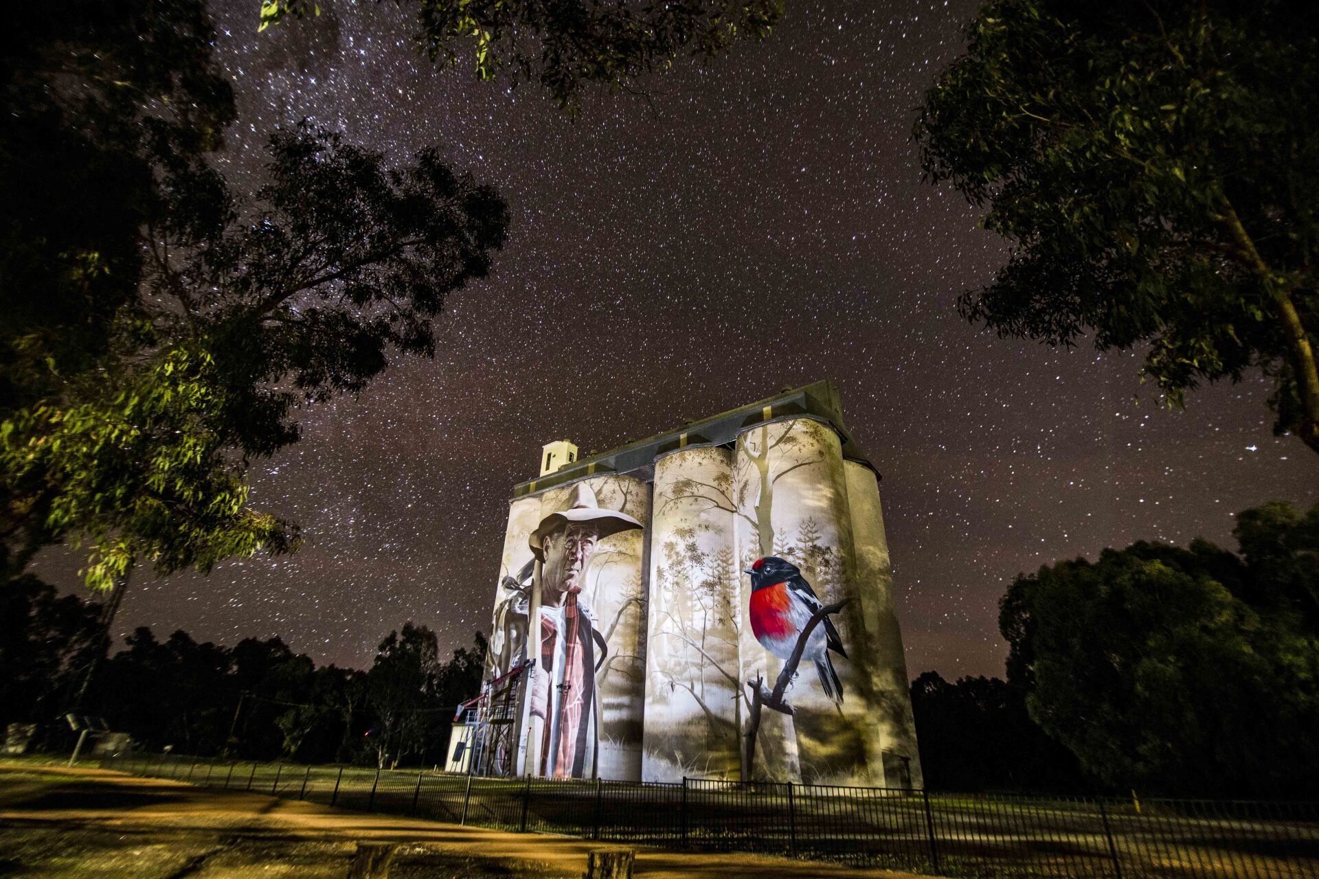 Australian Silo Art Trail, Silo Art, Water Tower Art, 