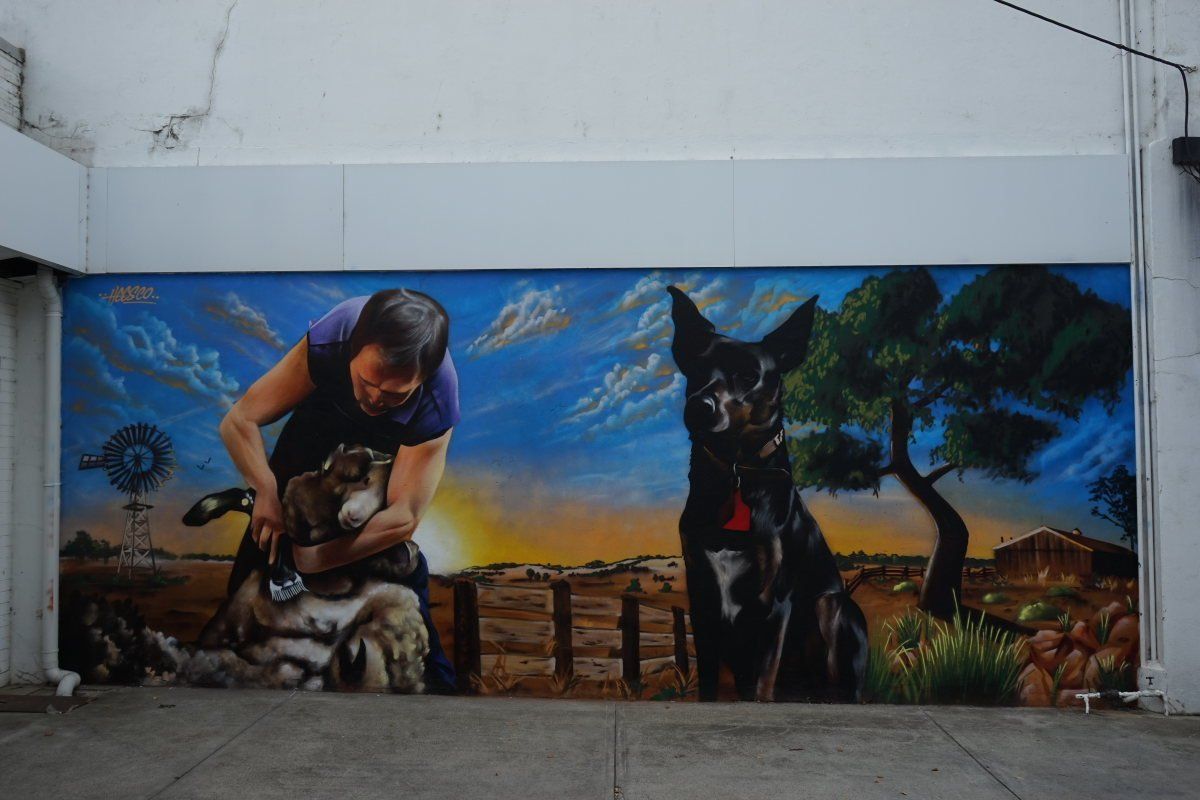 Yarram Street Art, Australian Silo Art Trail, Heesco