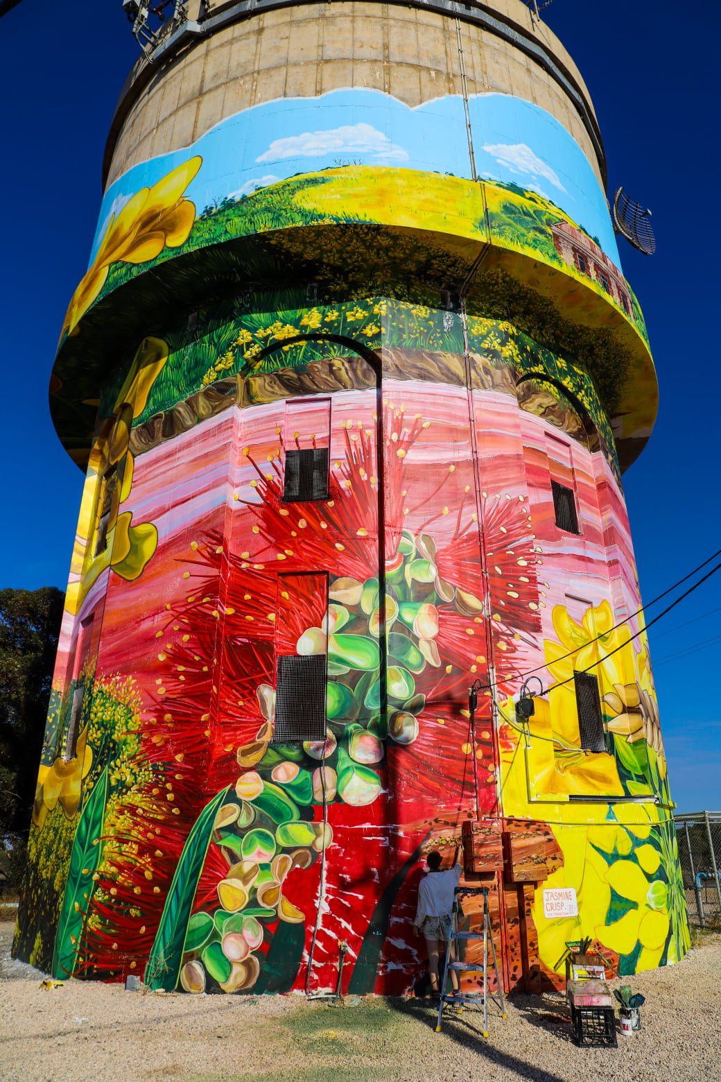 Yorketown Water Tower Art, Australian Silo Art Trail