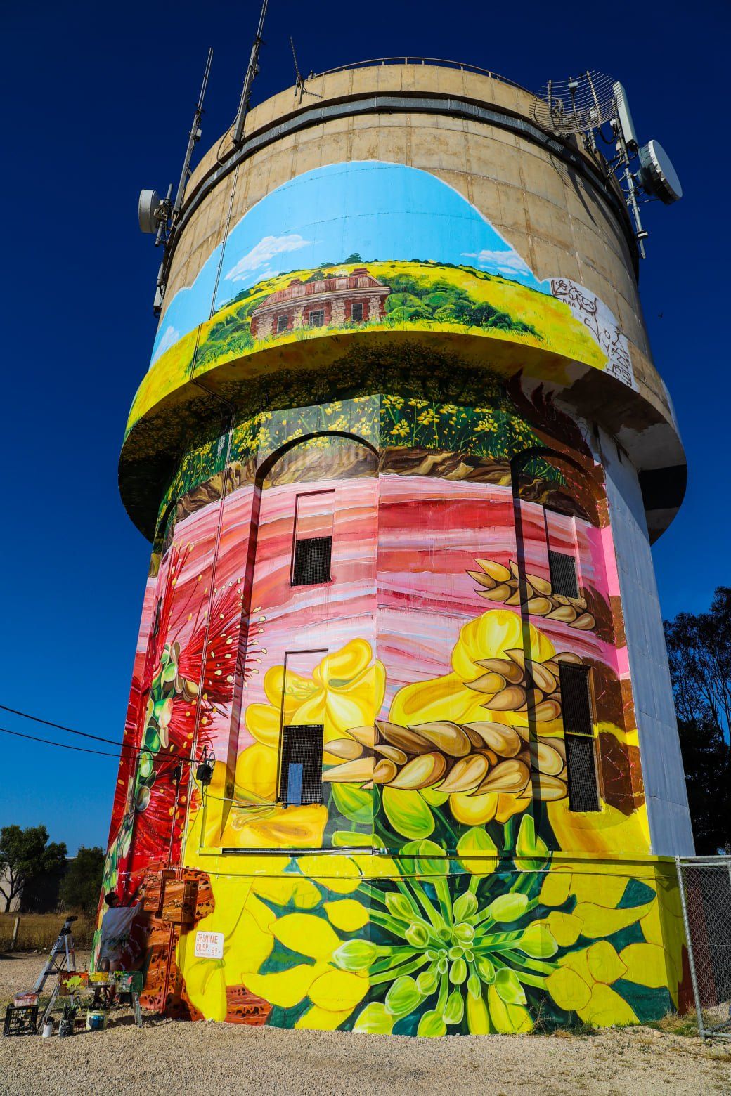Yorketown Water Tower Art, Australian Silo Art Trail