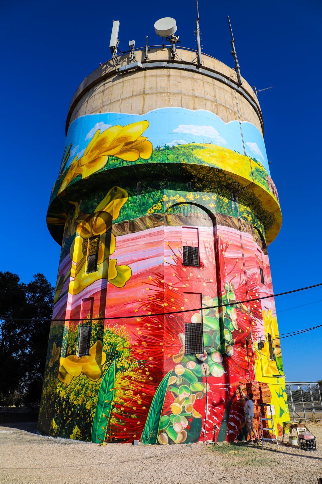 Yorketown Water Tower Art, Australian Silo Art Trail
