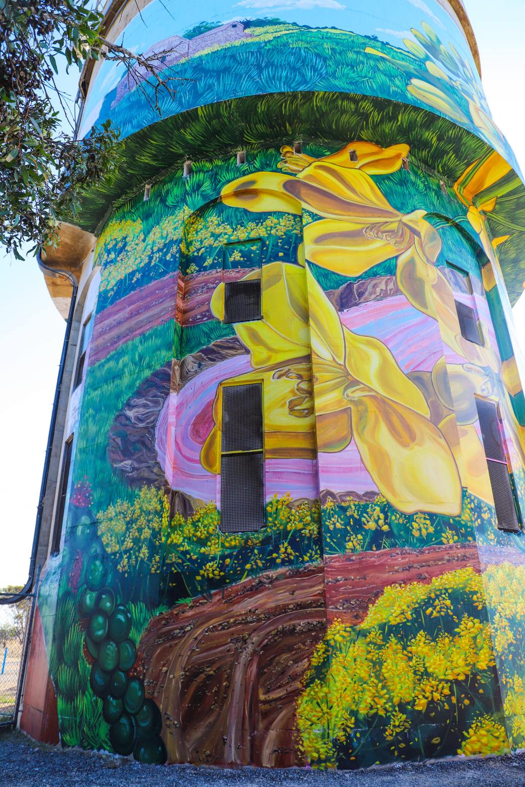 Yorketown Water Tower Art, Australian Silo Art Trail