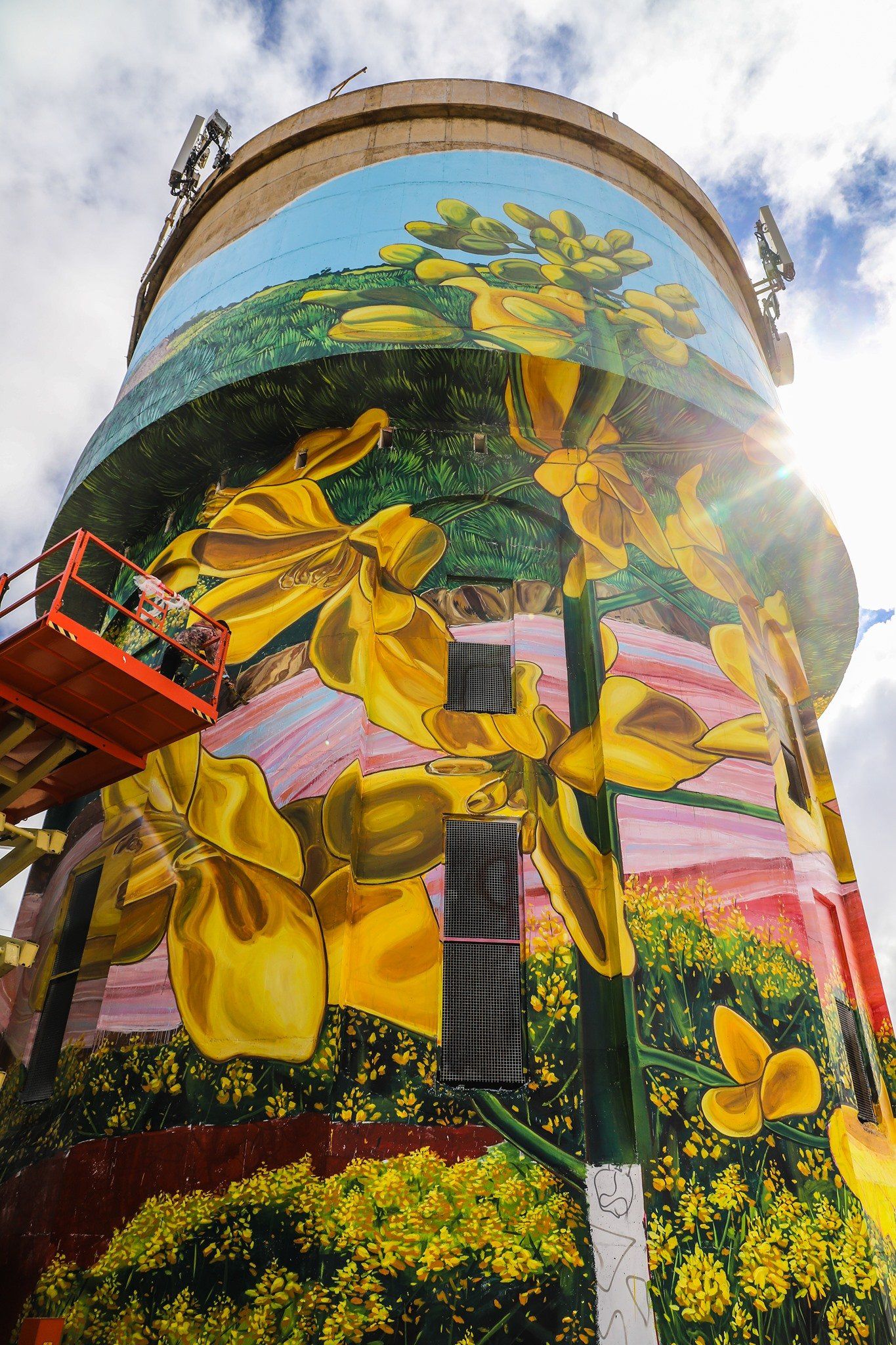 Yorketown Water Tower Art, Australian Silo Art Trail