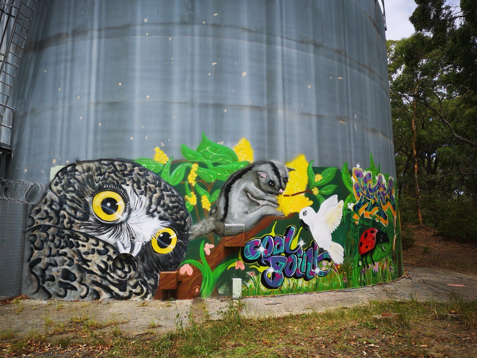 Coal Point Water Tank, Australian Silo Art Trail