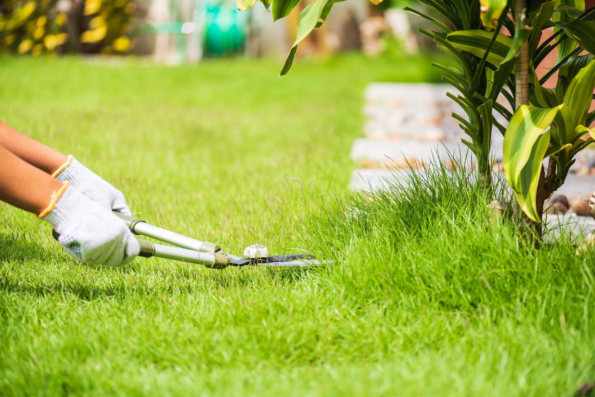 Hands wearing white gardening gloves use metal shears to trim green grass near a garden bed.