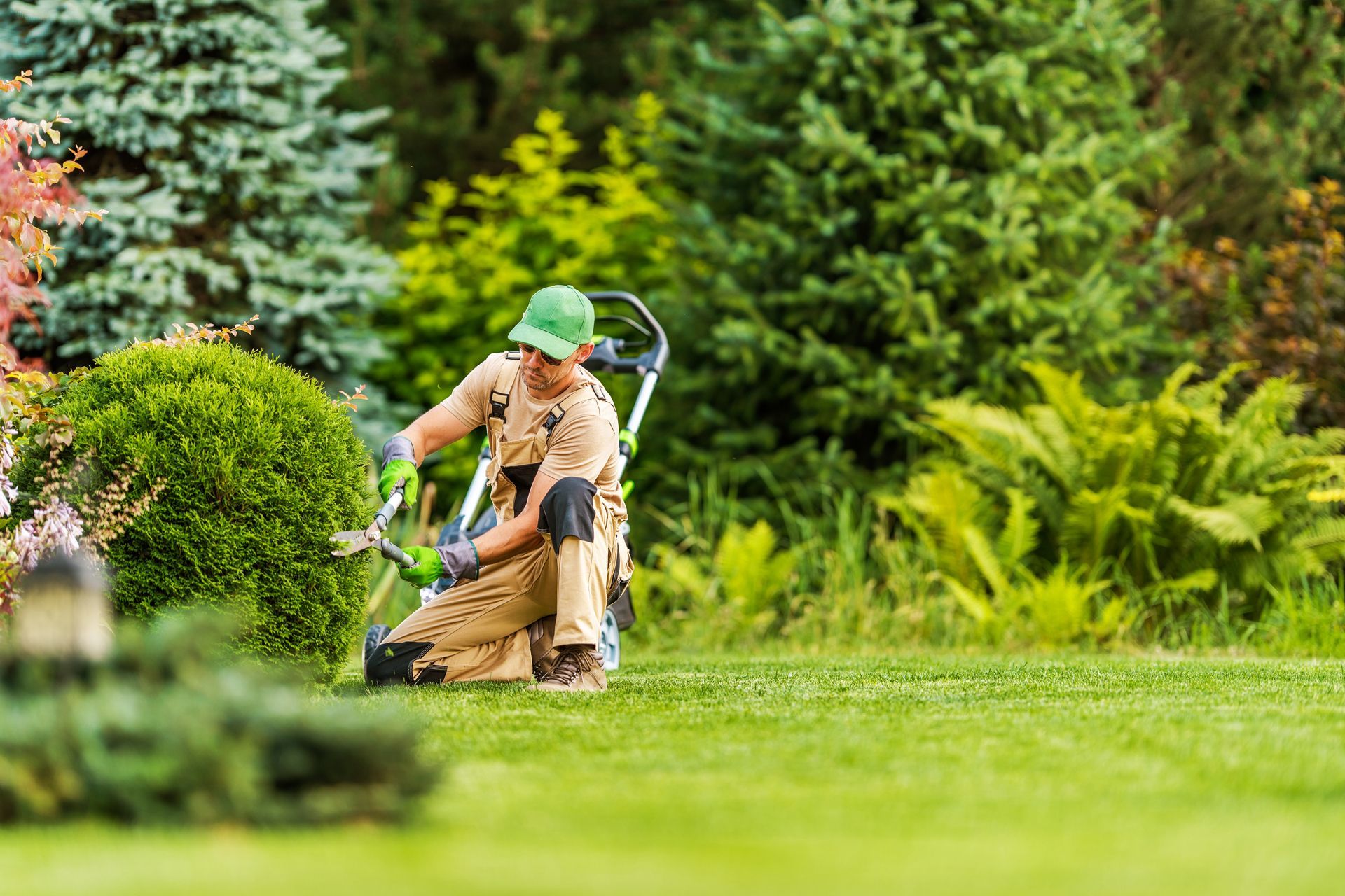 A gardener wearing a green cap and beige work clothes trims a rounded shrub in a lush, green outdoor garden.
