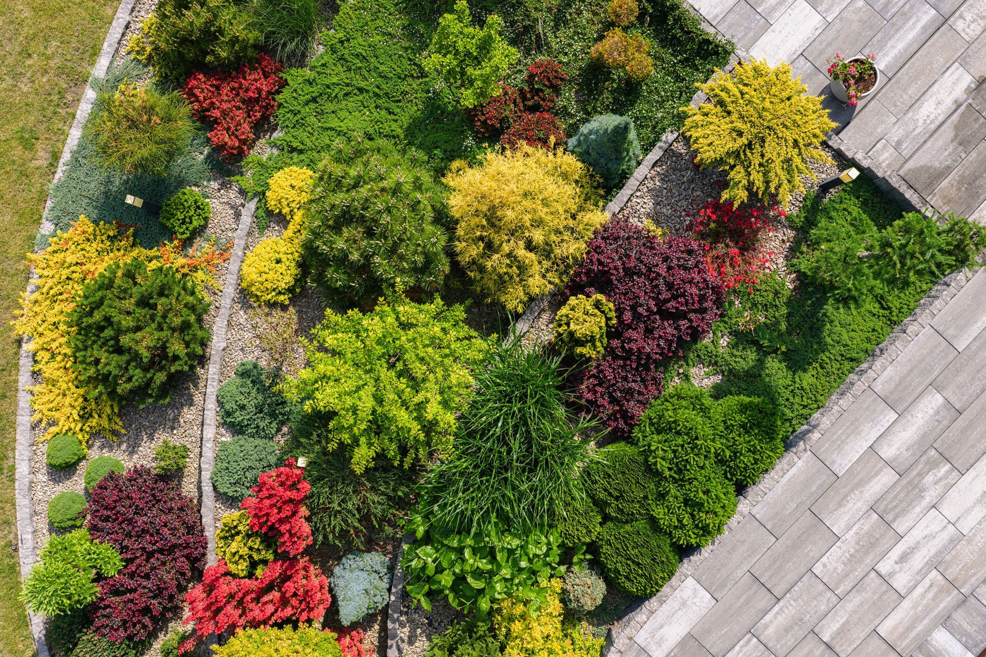 Aerial view of a vibrant garden bed with diverse shrubs and plants in shades of green, yellow, and deep red.
