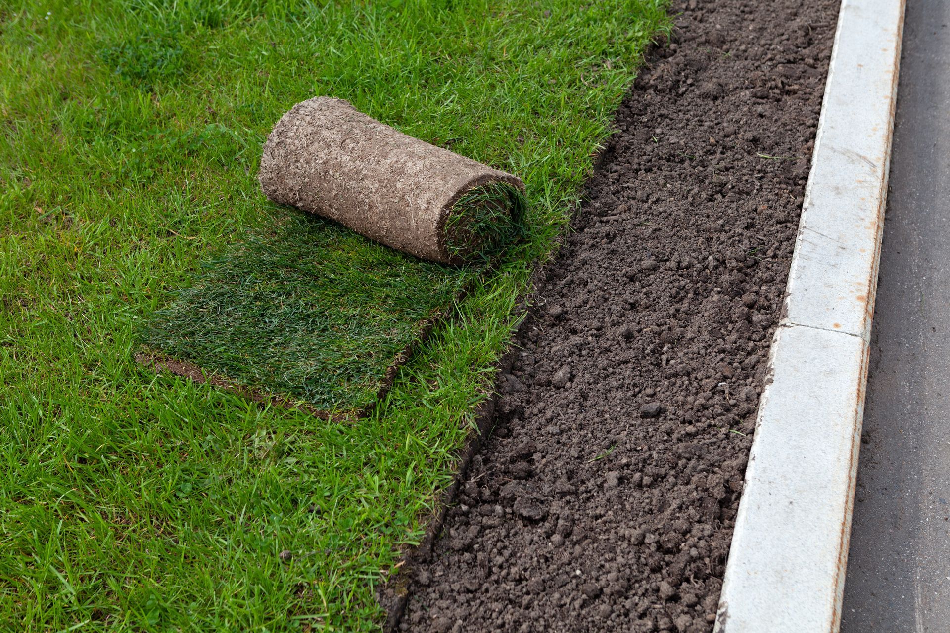 A partially rolled-up piece of turf lies on a lawn next to a strip of bare, dark soil bordering a concrete curb and road.