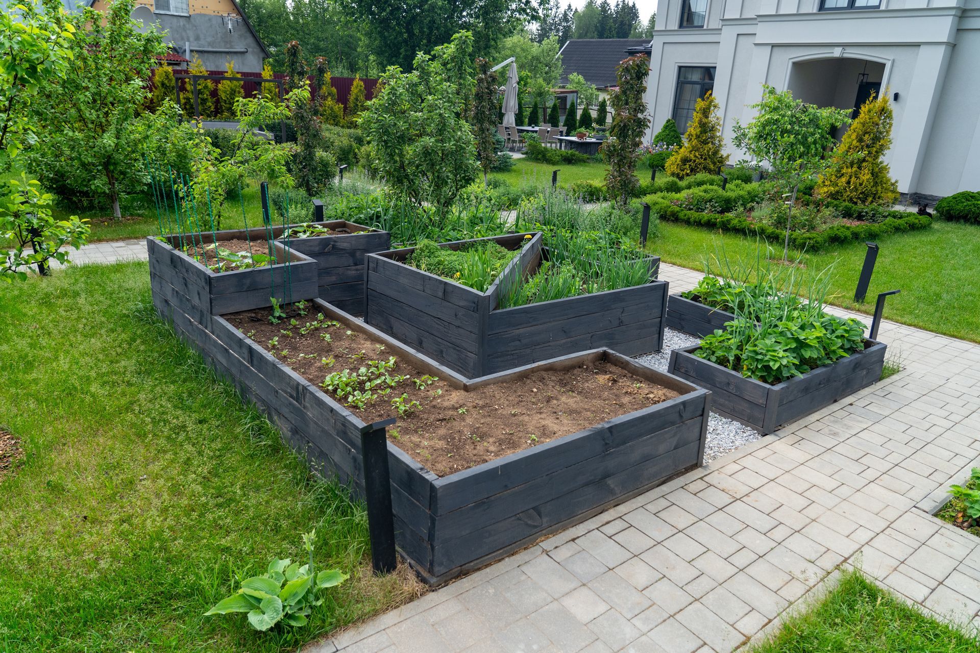 Tiered, dark grey wooden raised garden beds filled with plants and soil, situated in a green backyard with stone paths.