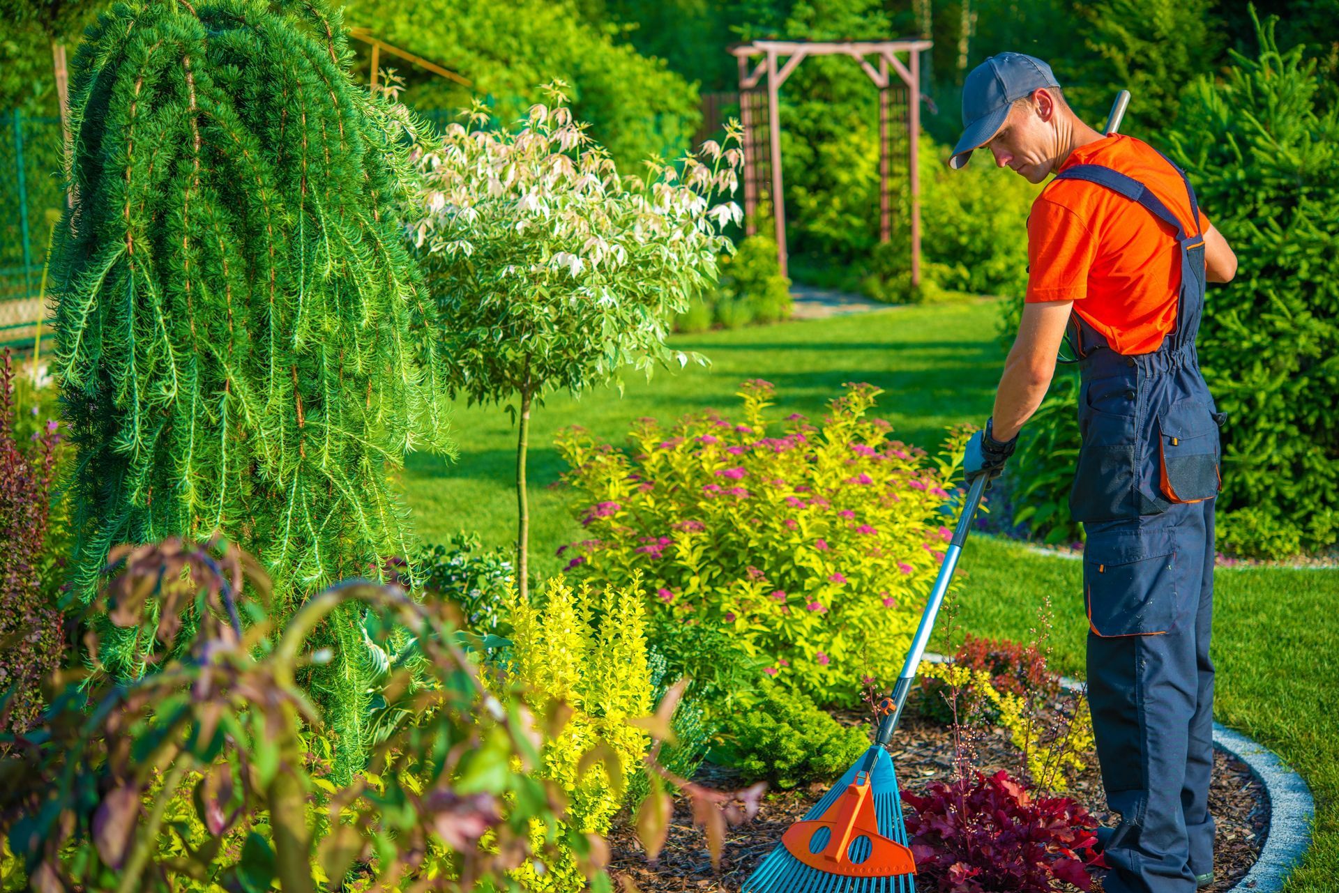 A worker in an orange shirt and navy overalls rakes mulch in a lush, green garden with trees and a wooden trellis.