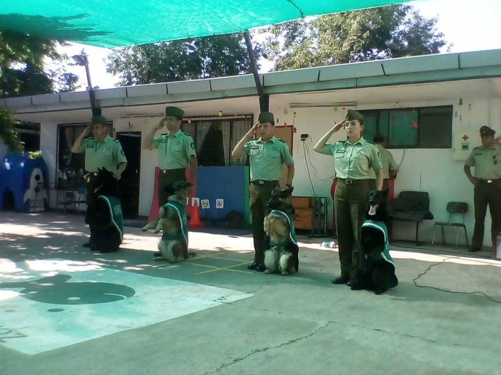 Un grupo de soldados saluda frente a un edificio con el número 6.