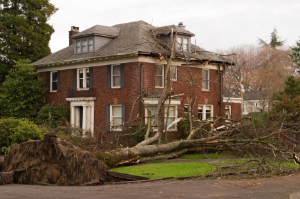 Home Insurance Assumptions — House With Broken Tree in Walnut,CA