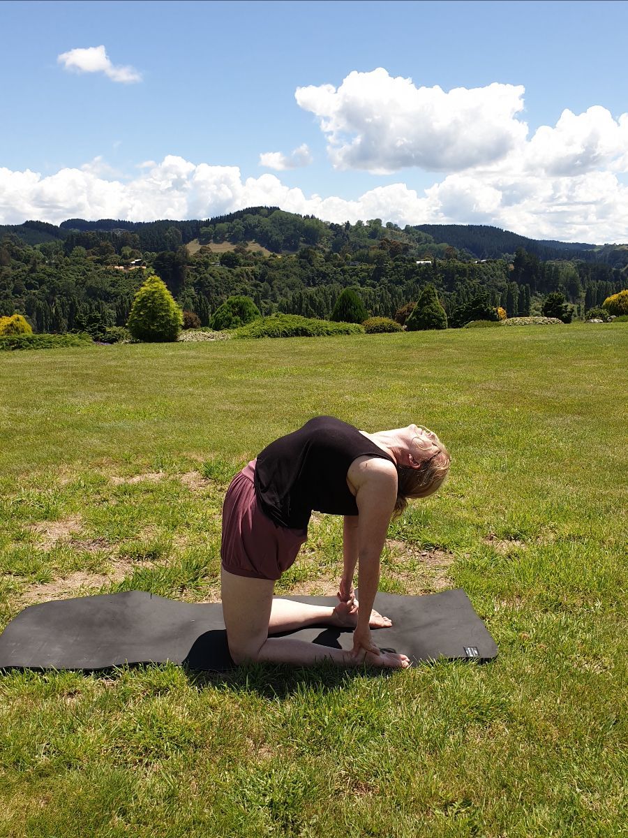 Iyengar Yoga Dunedin