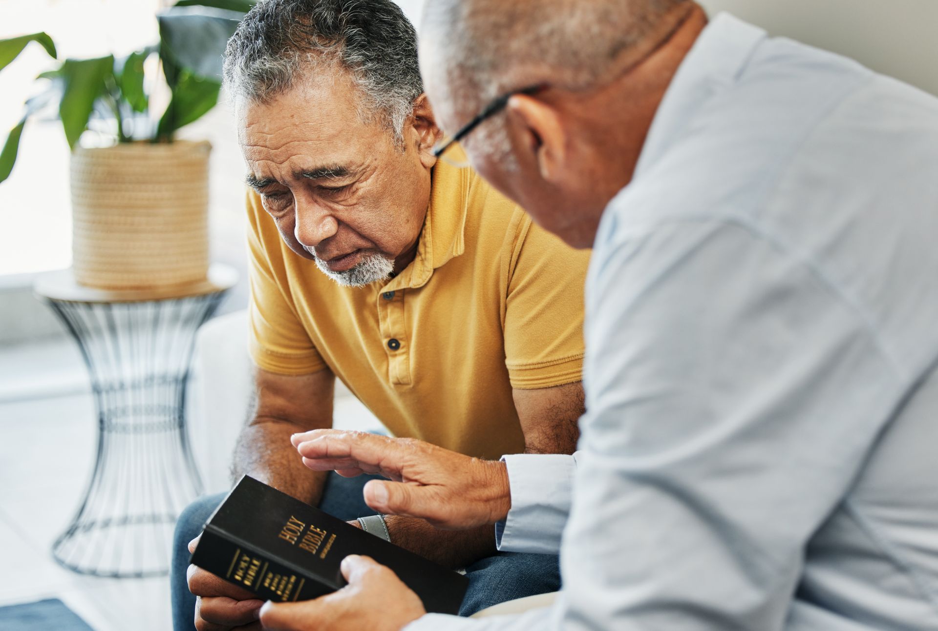 Two men sit together, reading a book and discussing it in a bright room.