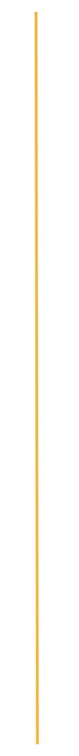 A vertical, pale yellow line against a white background.