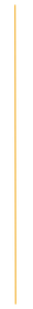 A vertical, pale yellow line against a white background.