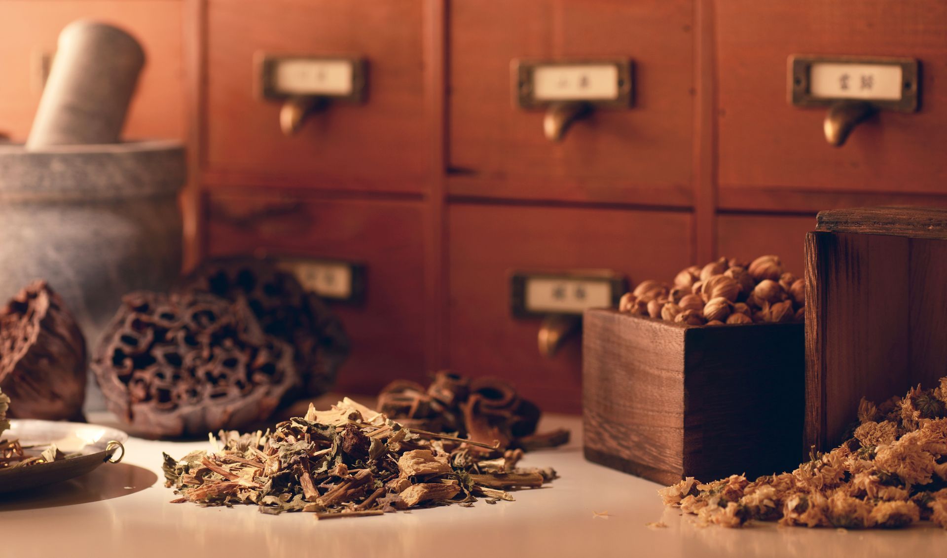 Traditional Chinese Herbal Medicine