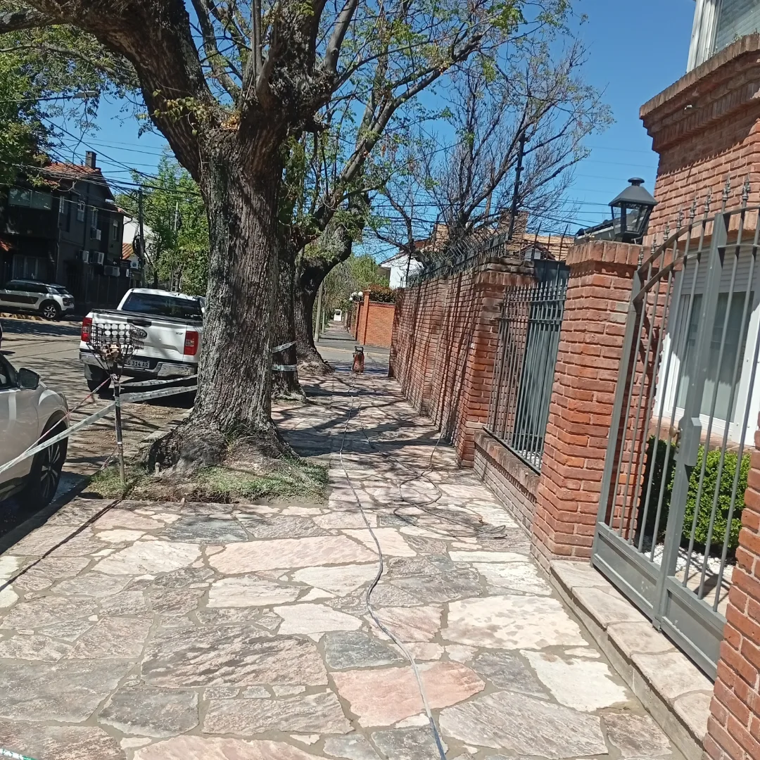 Acera con adoquines de piedra, árboles, pared de ladrillo y portón metálico