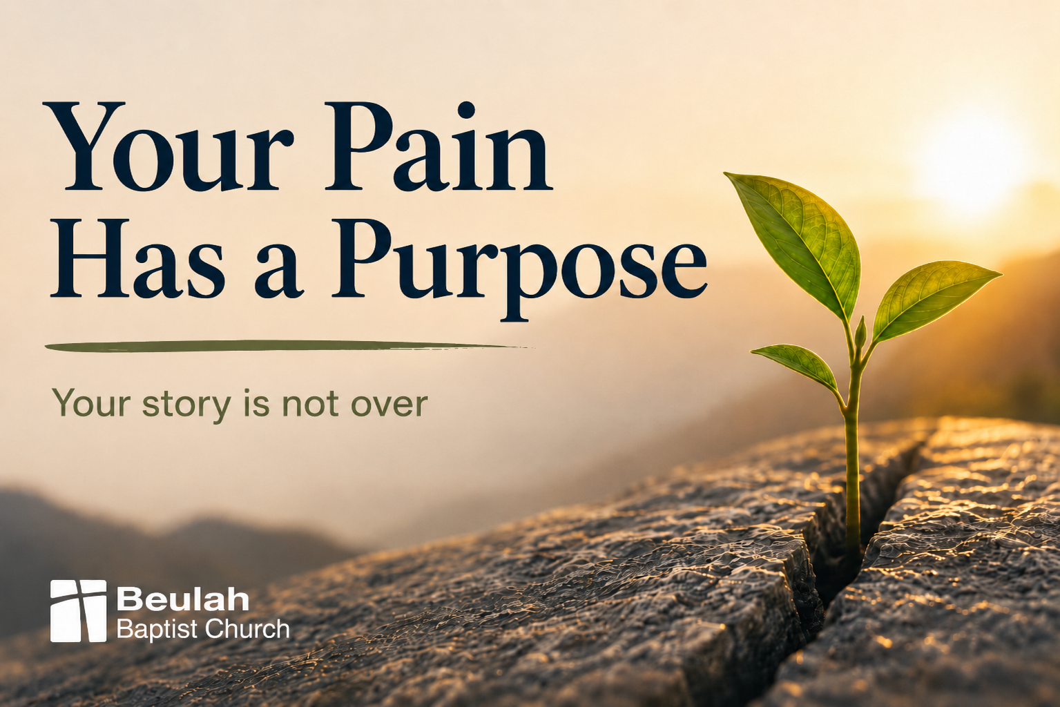 Sprout growing from cracked rock at sunrise with text, “Your Pain Has a Purpose.”
