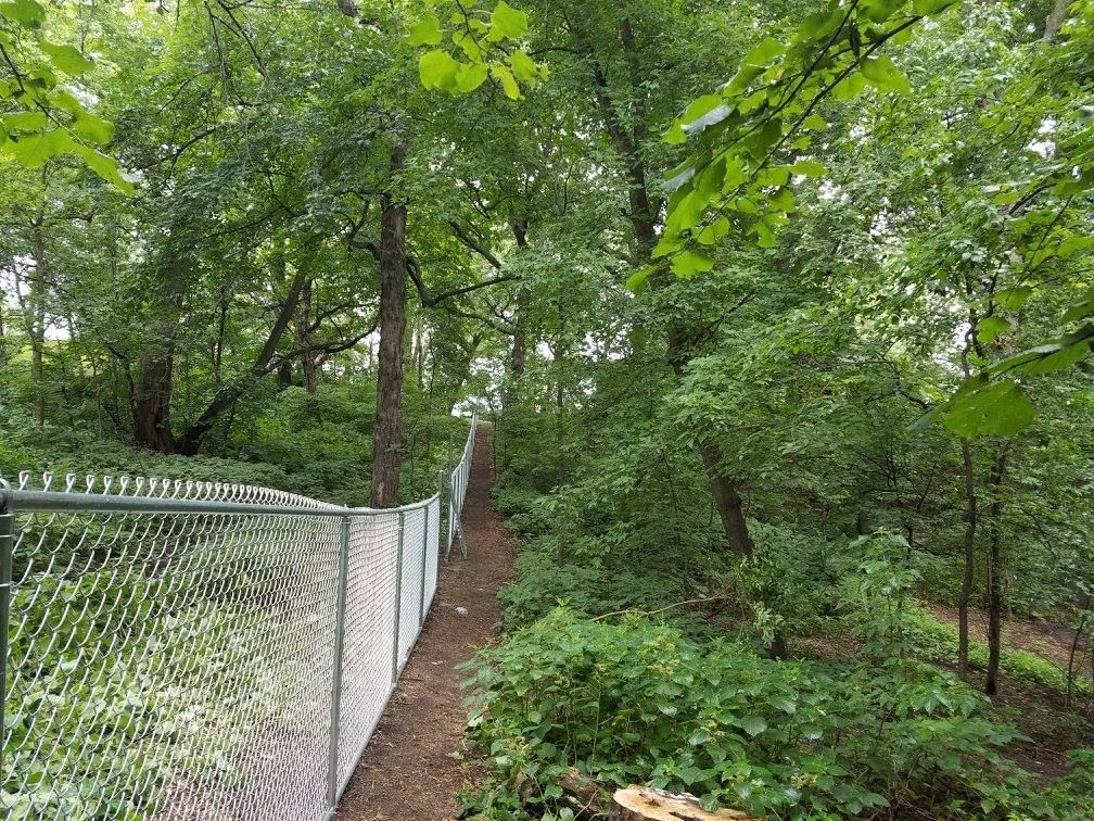 A chain link fence surrounds a path in the woods.
