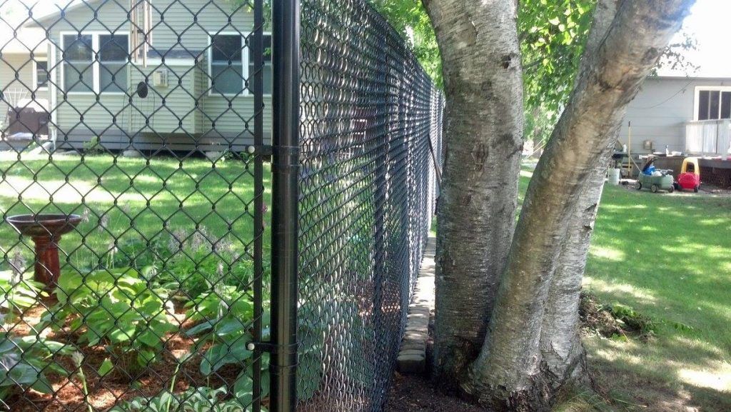 A chain link fence surrounds a tree in a backyard