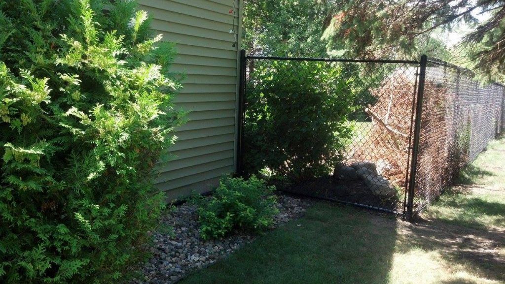 A chain link fence is surrounded by trees and bushes in a yard.