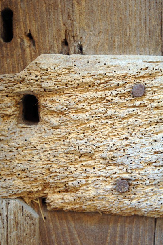 Apollo Damp & Timber Decay Specialists Ltd 2