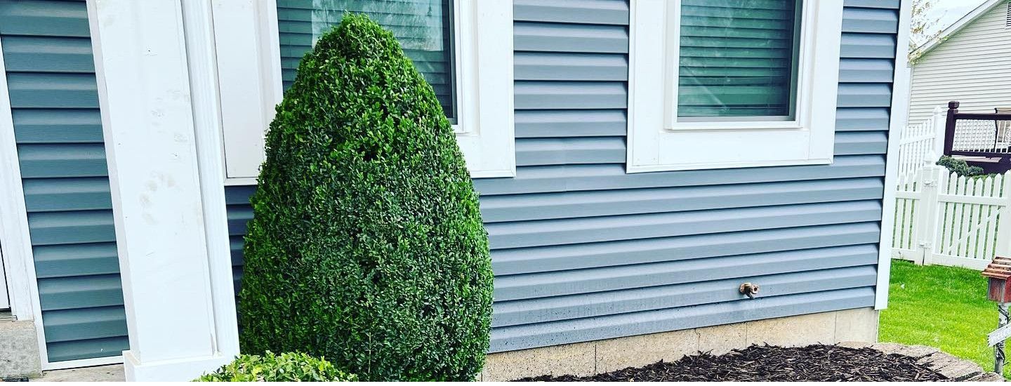 A blue house with a white fence and a bush in front of it.
