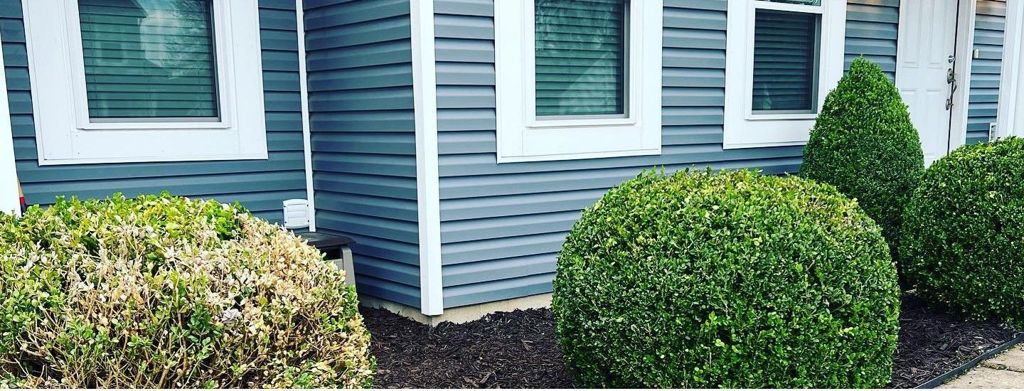 A house with a lot of bushes in front of it.