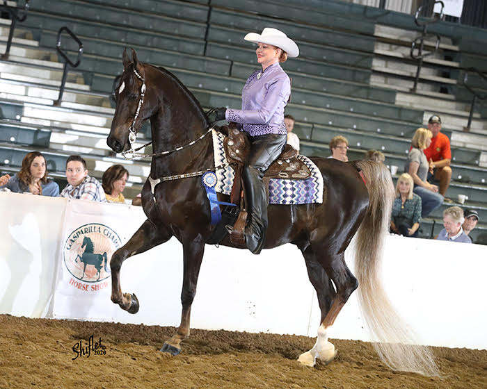 photo of a woman in Western attire riding an American Saddlebred horse in western tack at a horse show