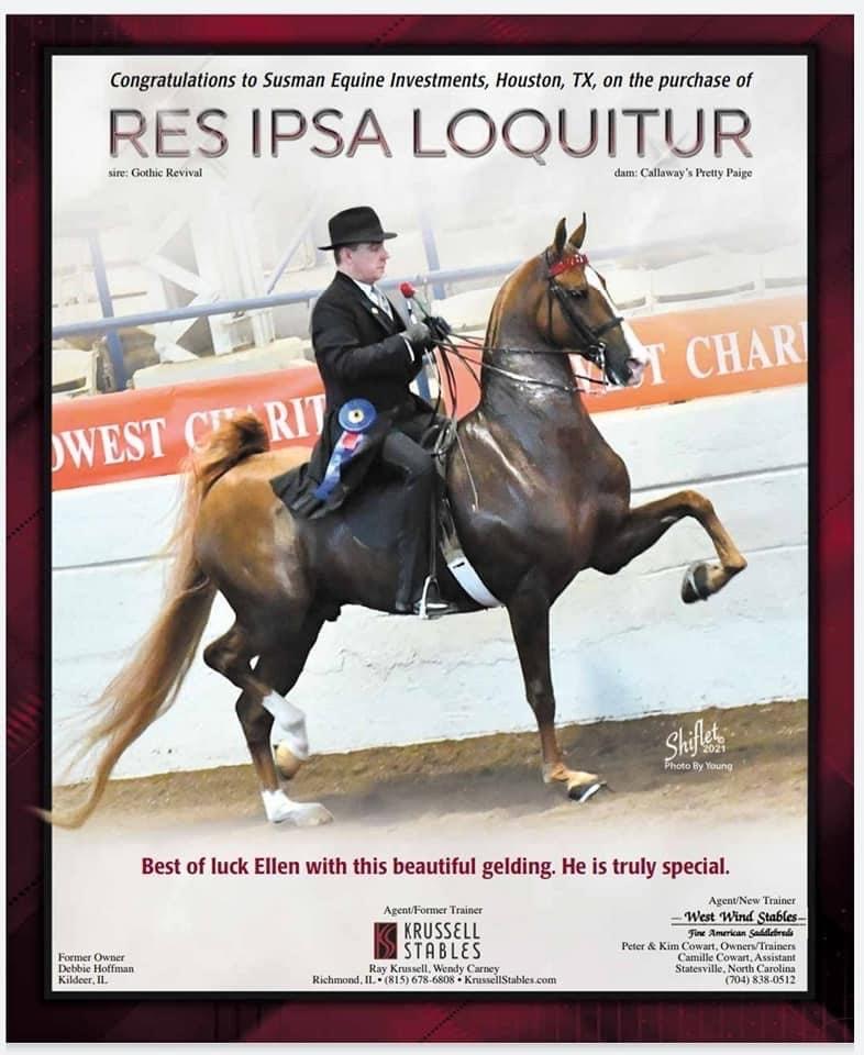 photo of American Saddlebred horse, RES IPSA Loquitor,  making victory pass