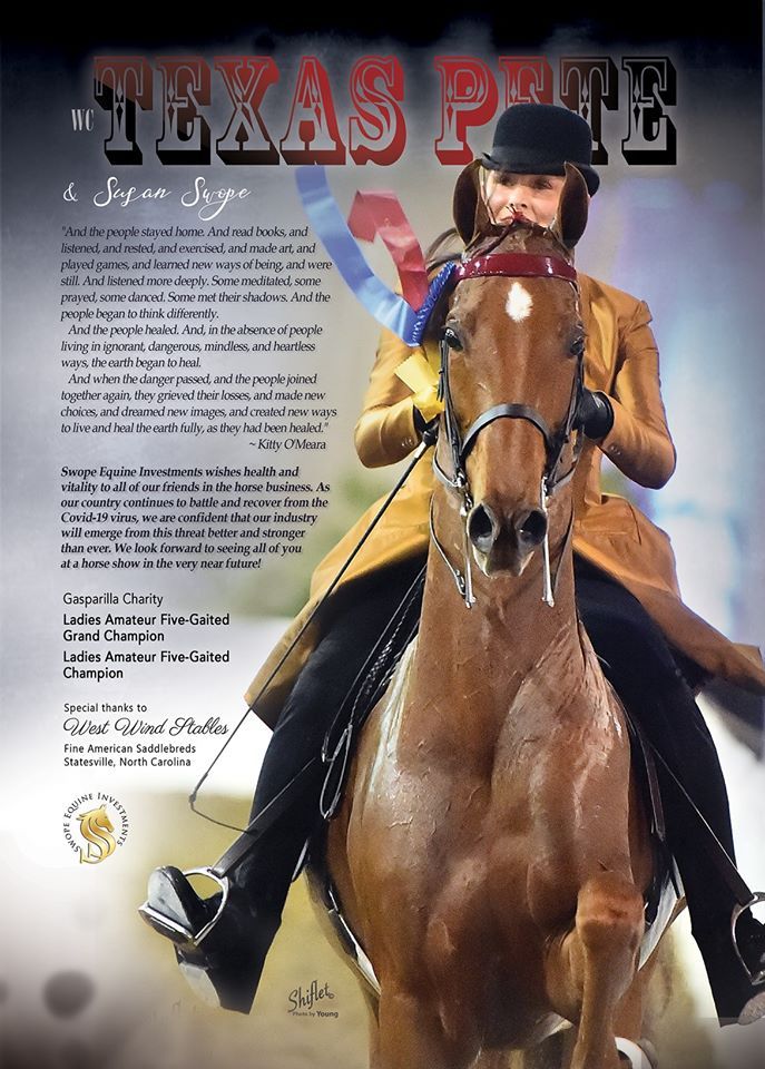 photo of a woman in English saddle seat attire riding an American Saddlebred horse at a horse show