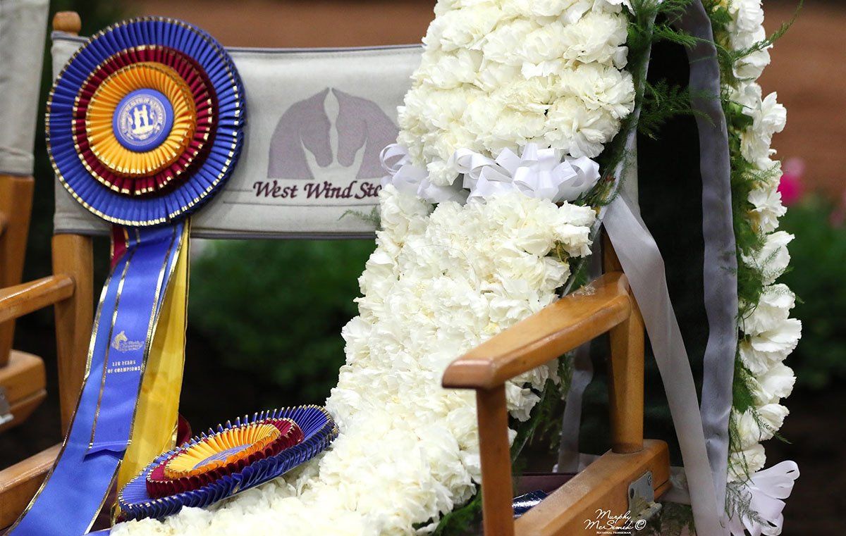 photo of championship ribbons and garland of white roses draped over a West Wind Stables director's chair