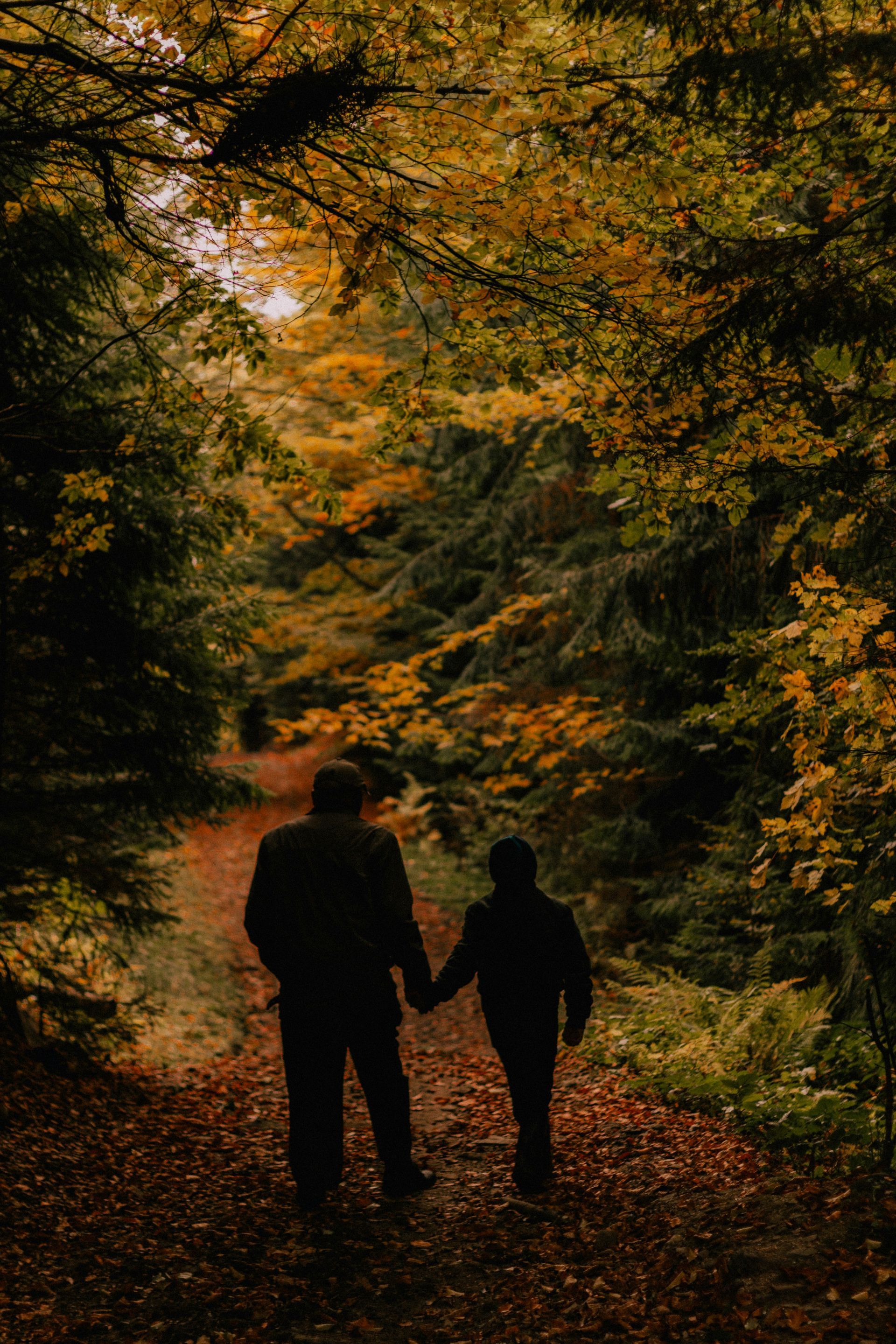 A man and a child are walking down a path in the woods holding hands.