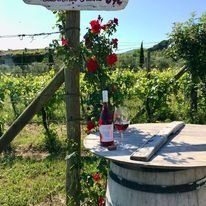 botte di vino per degustazione