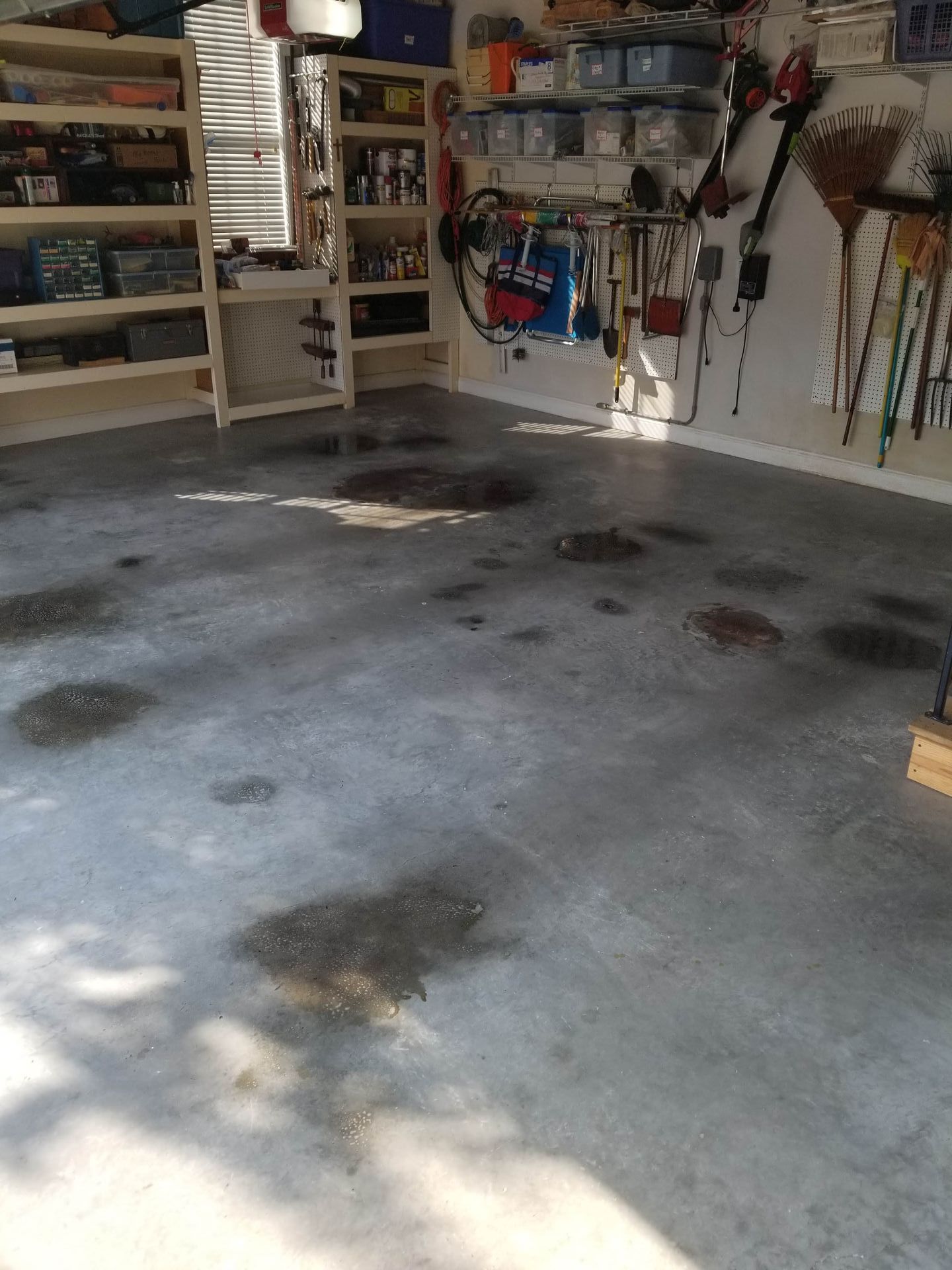 A garage with a lot of shelves and tools on the wall.